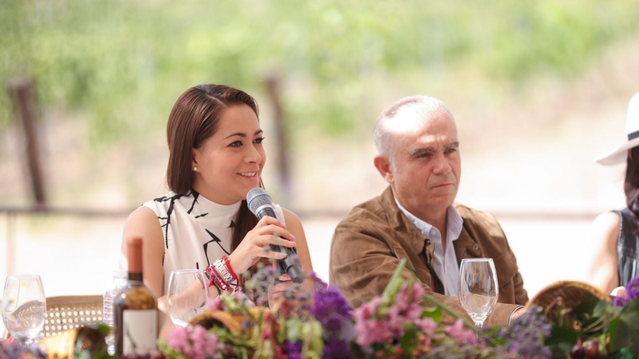 ‘Vive las vendimias’ ofrecerá más de 700 actividades culturales, artísticas y gastronómicas