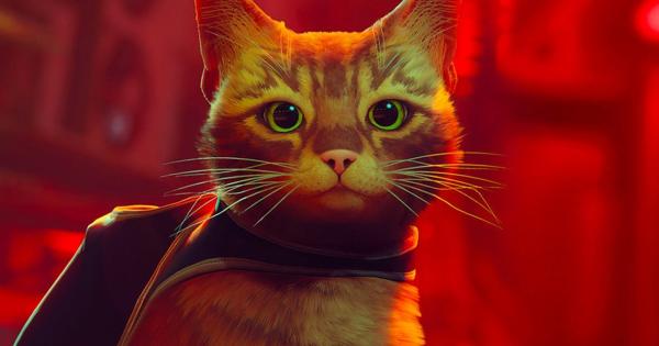 Stray, el juego protagonizado por un gato adorable, tendrá una película animada