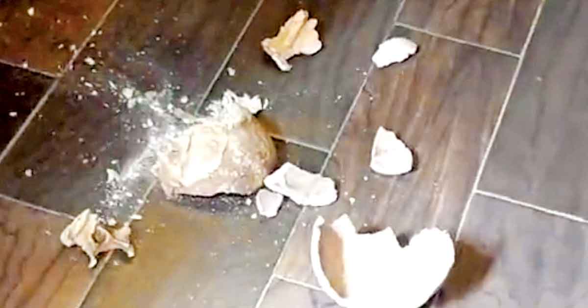 Destruyen cráneo prehispánico durante presentación a medios