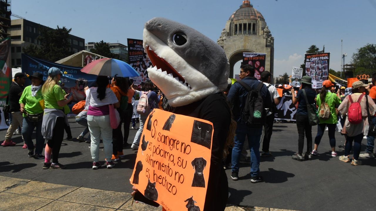 Marchan contra maltrato animal del Monumento a la Revolución al Zócalo