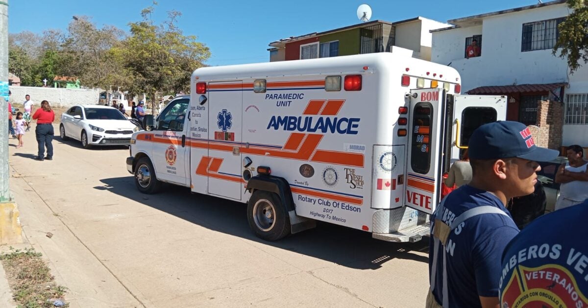 ¡No se lo esperaban! Enjambre de abejas pica a 25 personas en un panteón de Mazatlán
