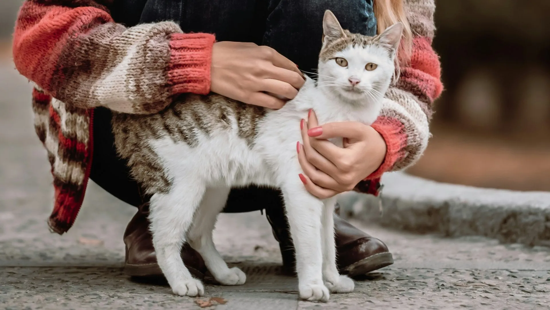 Gatitos Podrán Disfrutar de Exposición del Antigüo Egipto en el Museo de Shangai, China