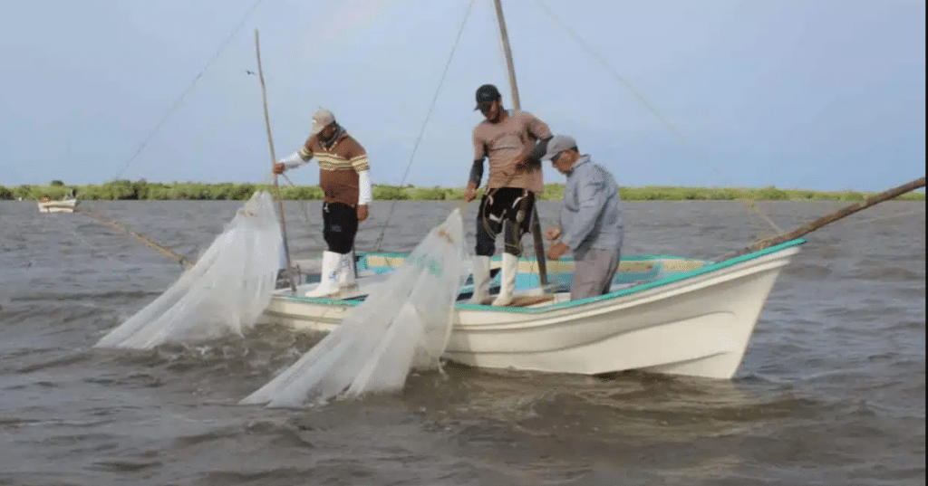 Autoridades municipales colaboran con rondines contra la pesca furtiva de camarón en Mazatlán