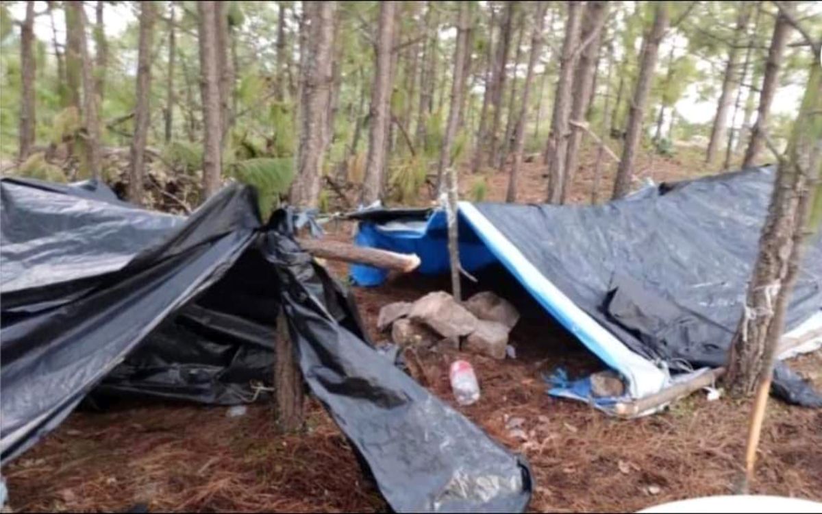 Enfrentamiento armado en Nayarit deja 11 muertos