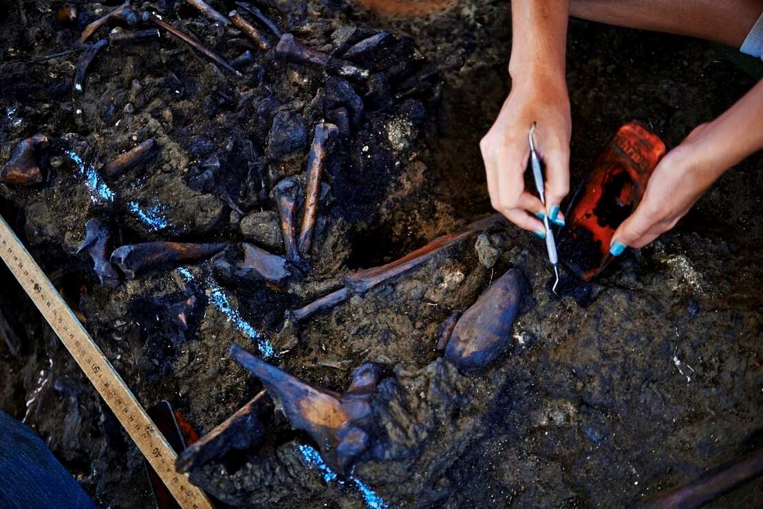 La Brea: el pozo que atrapó en el tiempo a las bestias prehistóricas | El Universal