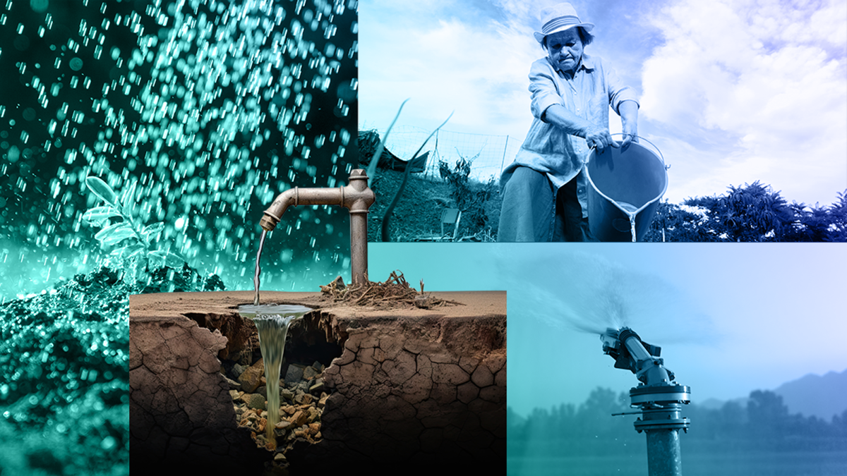 Es poca el agua y los agricultores… la riegan: el reto de la tecnificación del riego en México