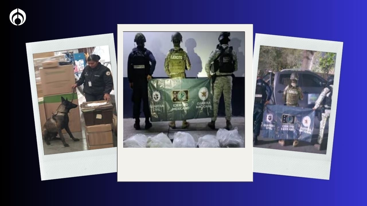 Frenan al crimen en Michoacán, Sinaloa y Sonora: aseguran armas largas y diversa droga