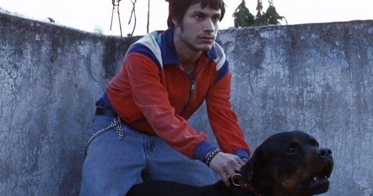 ‘Amores Perros’ será proyectada en el Festival de Cannes por su 25 aniversario