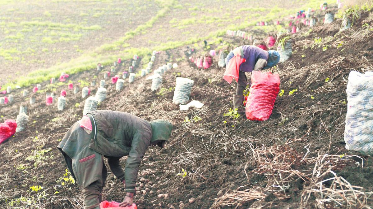 Consumo y agro impulsan al PIB colombiano: creció 2.7% en primer trimestre