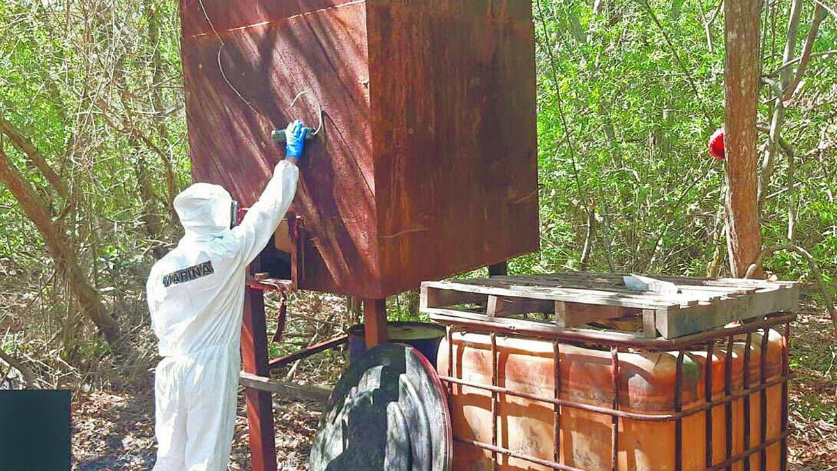 Dan golpe a narco por más de 1,300 millones de pesos