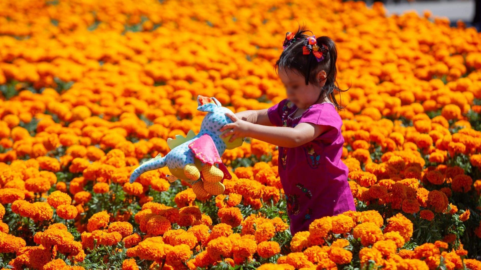 Día de Muertos para Niños: ¿Cómo Explicar el Significado de la Ofrenda y el 1 y 2 de Noviembre?