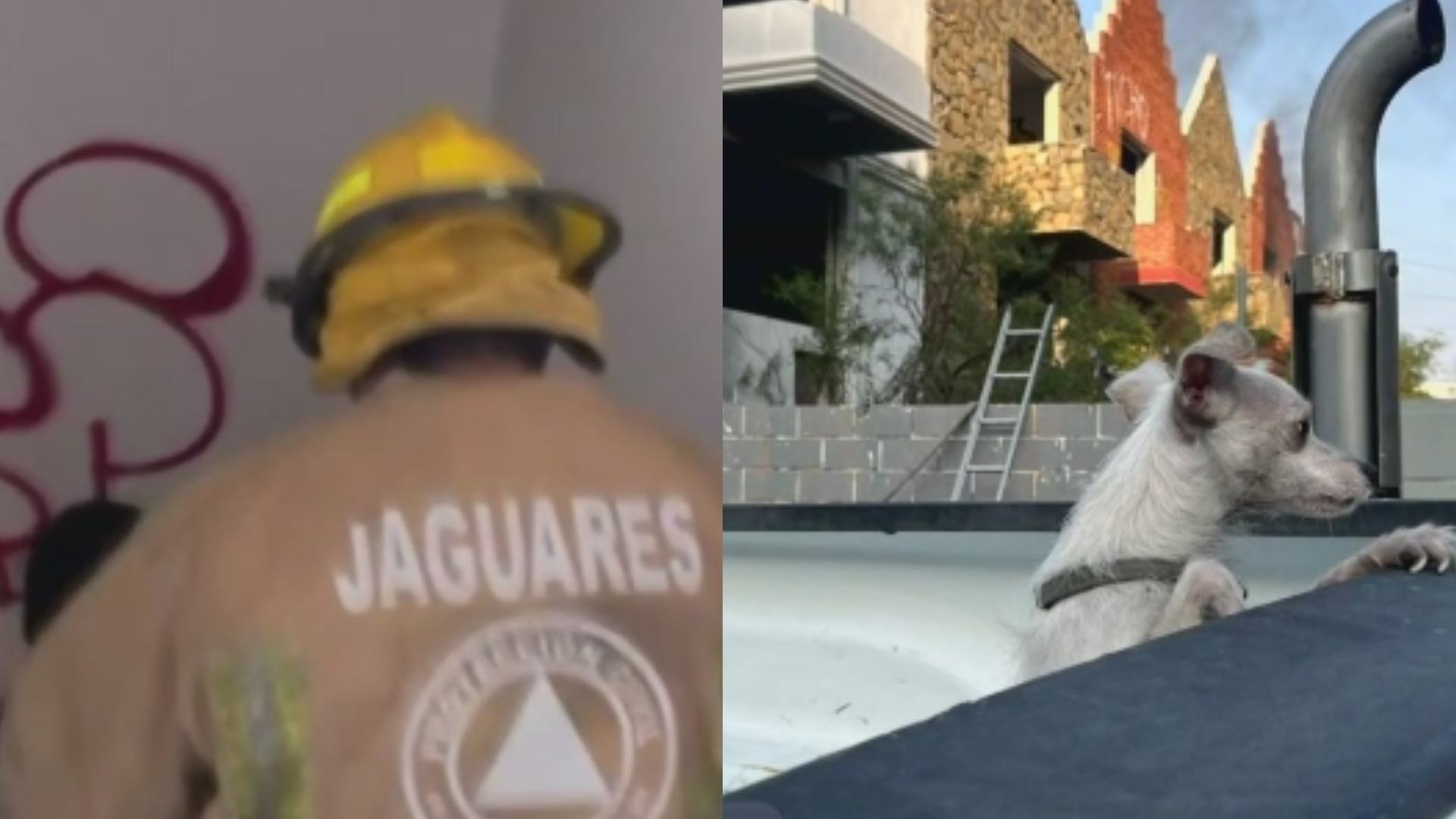 Rescatan a Mujer y a su Perro Tras Incendio en Casa Abandonada en Santa Catarina